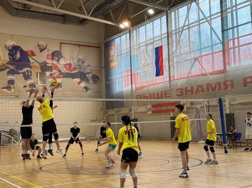 Спорт